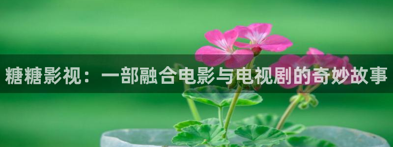 蓝莓管理视频：糖糖影视：一部融合电影与电视剧的奇妙故事