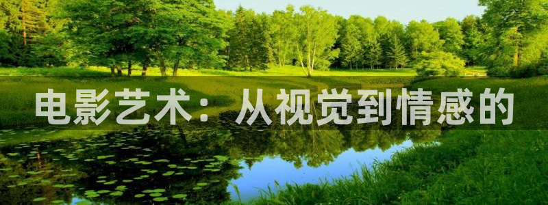 蓝莓怎样采摘视频：电影艺术：从视觉到情感的