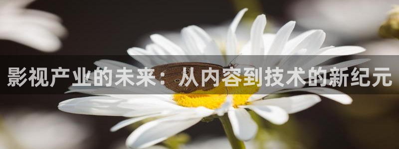 蓝莓美女视频：影视产业的未来：从内容到技术的新纪元