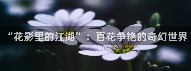 蓝莓视频免费在线观看：“花影里的江湖”：百花争艳的奇幻世界