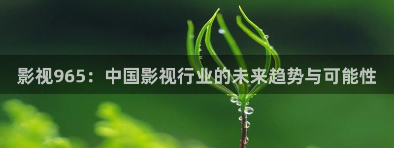 蓝莓cc视频：影视965：中国影视行业的未来趋势与可能性