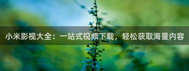 蓝莓视频下：小米影视大全：一站式视频下载，轻松获取海量内容
