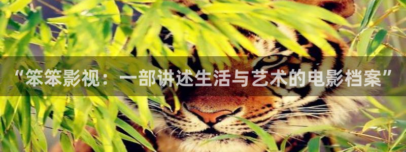 蓝莓怎样剪枝视频：“笨笨影视：一部讲述生活与艺术的电影档案”