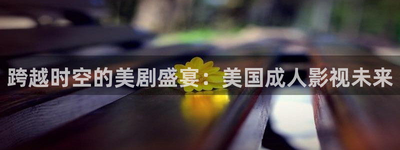 蓝莓视频134：跨越时空的美剧盛宴：美国成人影视未来