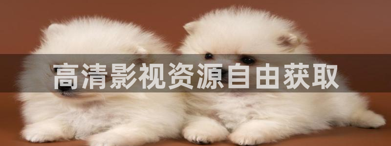 蓝莓在线播放：高清影视资源自由获取