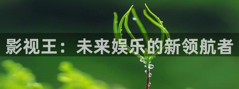奔跑吧第十一季免费观看完整版蓝莓视频：影视王：未来娱乐的新领航者
