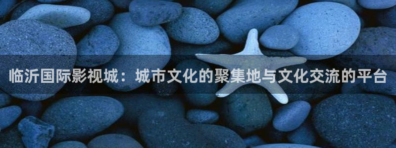 蓝莓小视频在线观看：临沂国际影视城：城市文化的聚集地与文化交流的平台