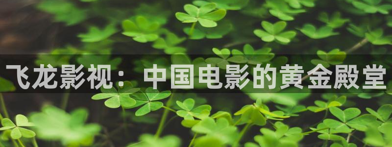 91蓝莓视频网站：飞龙影视：中国电影的黄金殿堂